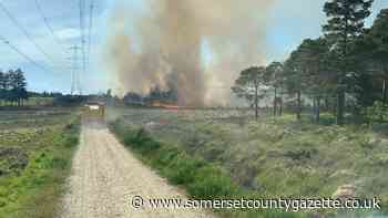 Crews return to scene of huge forest fire after flare-ups - Somerset County Gazette