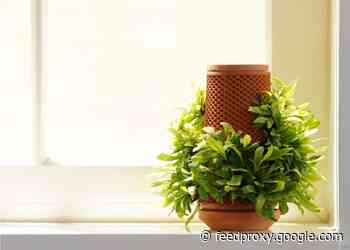Terraplanter makes growing easy with soil or dirt