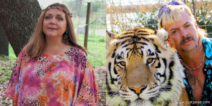 Tiger King's Carole Baskin Has Been Awarded Control of Joe Exotic's Zoo