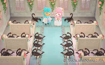 Animal Crossing wedding event photos get weird