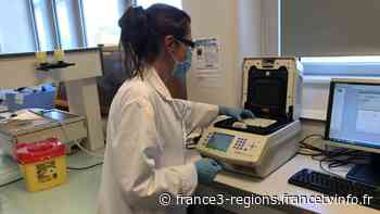 Coronavirus : jusqu'à 350 dépistages par jour à l’université de Reims Champagne-Ardenne - France 3 Régions