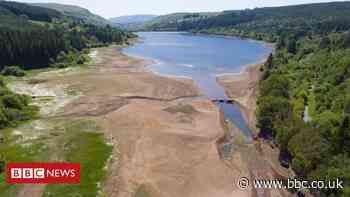 Climate change: May was sunniest calendar month on record in UK