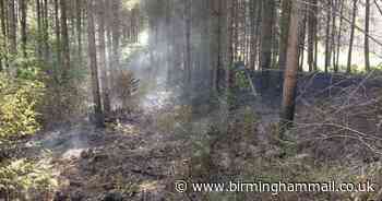 Latest Cannock Chase blaze sparked by 'camp fire'