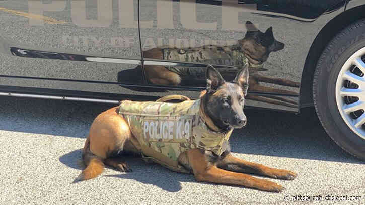 Aliquippa Police Department K9 Officer Stella Receives Body Armor Donation