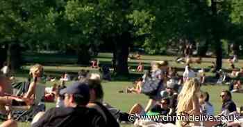 Doctor reveals strict rules for socially distanced picnics