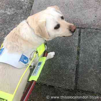 Visually impaired Greenwich man afraid to go out due to lack of social distancing