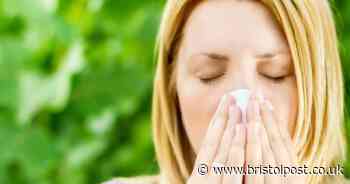 Why hayfever sufferers are struggling so much today