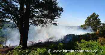 Parkgoers ignoring BBQ warnings spark eight fires at beauty spot