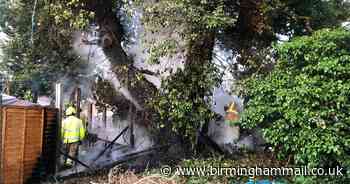 Four gardens hit by one fire after rubbish burned in incinerator