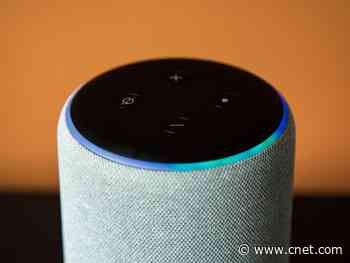 3 Amazon Echo security features to use when you leave the house     - CNET