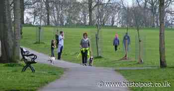 Bristol parks three times busier now than before lockdown began