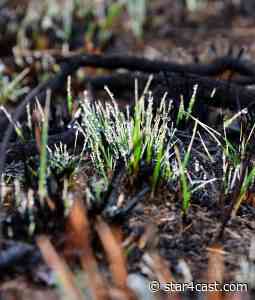 USA – collapse & renewal, first the pain, then the gain,