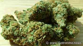 Ottanta chili di erba destinati a Savona sequestrati a La Turbie. Arrestato camionista rumeno pagato 5.000 euro per il trasporto illegale - Riviera Time