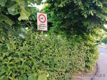 Progetto Paese: “Nel centro storico di Ripa erba alta, rami e 21 lampioni non funzionanti” - Riviera Oggi