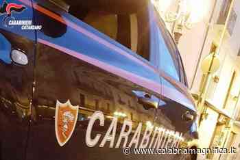 I carabinieri di Pentone arrestano due volte in due giorni un ventenne per spaccio | CalabriaMagnifica.it - Calabria Magnifica