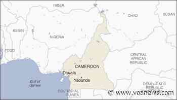 Cameroon Military Acknowledges Soldiers Arrested in Togo - VOA News