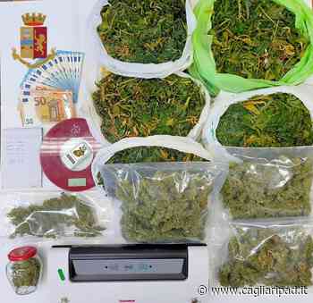 Monserrato, coltiva marijuana in casa. Sequestrati 5 kg di erba: arrestato un pregiudicato - Cagliaripad