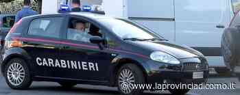 Furgone investe un cane Soccorsi ad Arcellasco - LaProvincia.it/COMO - Cronaca, Erba - La Provincia di Como