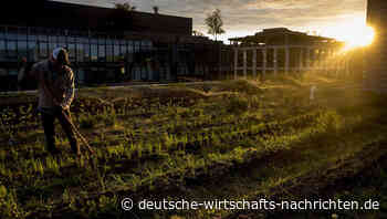 Fast alle Landwirte digitalisieren ihre Maschinen