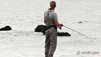 Some Rhode Island shellfishing areas closing for season - Boston News, Weather, Sports | WHDH 7News