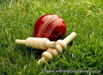 How cricket might look if it starts up this season