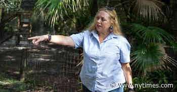 Judge Gives Carole Baskin the Tiger King’s Zoo