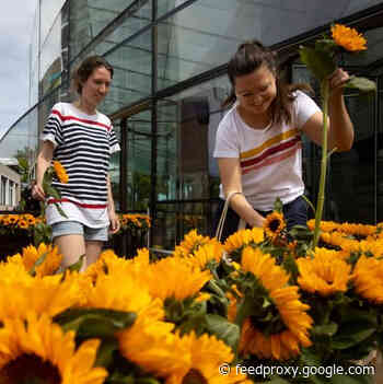 Many Museums Across Europe Reopen