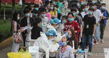 Casi 10 millones de pruebas de coronavirus en Wuhan y 300 dieron positivo - Semana.com