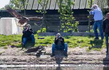 ‘Je kunt hier roofvogels fotograferen terwijl ze hun prooi uit de vijver vissen’