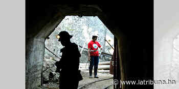 Más de 3.000 mineros contagiados por COVID-19 en el mundo, según estudio - La Tribuna.hn