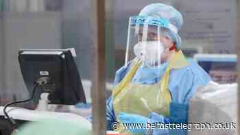 DUP MLA asks for ‘undisclosed’ emails around PPE order