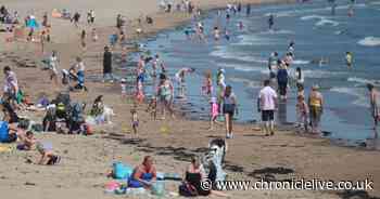 More than 250 people fined for breaking coronavirus lockdown