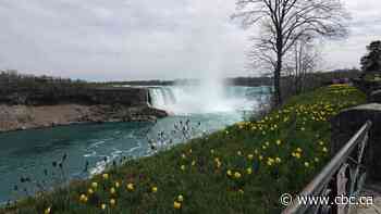 Niagara Falls lights to be shut off in 'solidarity and support for the Black community'
