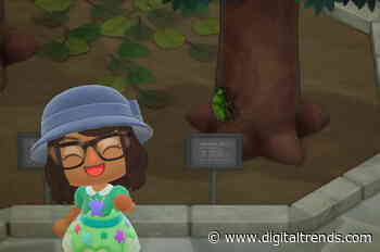 Animal Crossing: New Horizons bug guide for June 2020