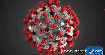Carver County pet cat tests positive for coronavirus