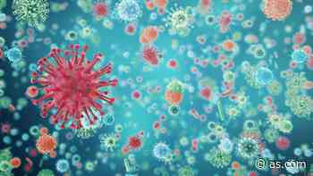 B3a, la cepa del coronavirus que sólo ha entrado en España - AS