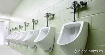 Saskatoon synchrotron shines light on fertilizer made from human waste