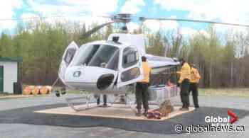 How COVID-19 changed Alberta fire bases