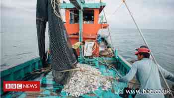 Asia's fishermen and farmers go digital during virus