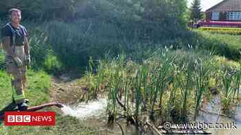 North Yorkshire firefighters rescue tadpoles from dry pond
