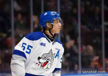 Mock Draft: Predicting the draft for the Ottawa Senators - SenShot