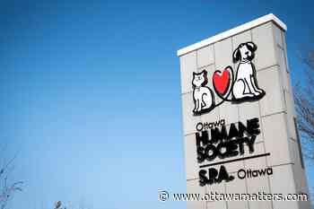Ottawa emergency pet food bank helping residents struggling to feed their animals during COVID-19 - OttawaMatters.com