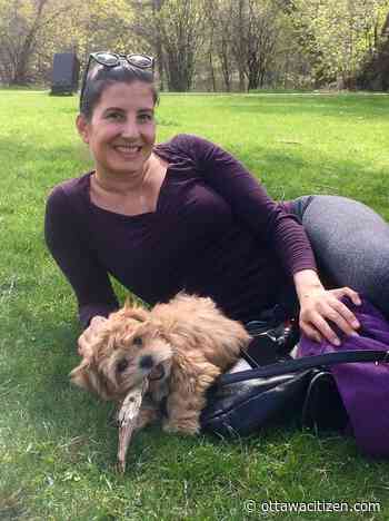 Puppy killed in terrifying attack by unleashed dog in Ottawa park - Ottawa Citizen