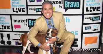 Andy Cohen says he has re-homed adopted dog Wacha