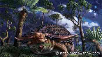 Fermenting ferns? Rare dinosaur stomach fossil opens door to ancient world - Nanaimo News NOW
