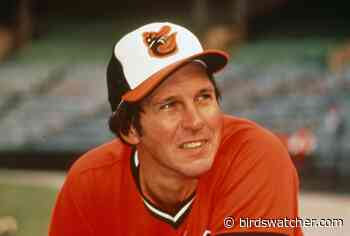 Baltimore Orioles: Brooks Robinson and the Triple Play - Birds Watcher