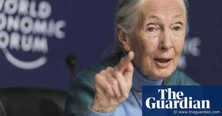 Jane Goodall: humanity is finished if it fails to adapt after Covid-19