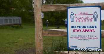 Coronavirus: Latest developments in the Greater Toronto Area on June 2 - Globalnews.ca