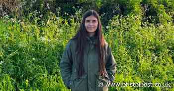 How to get in touch with nature if you don't have a garden