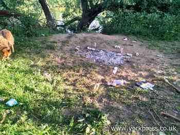 Littering on York's Millennium Fields 'getting worse and worse', says resident